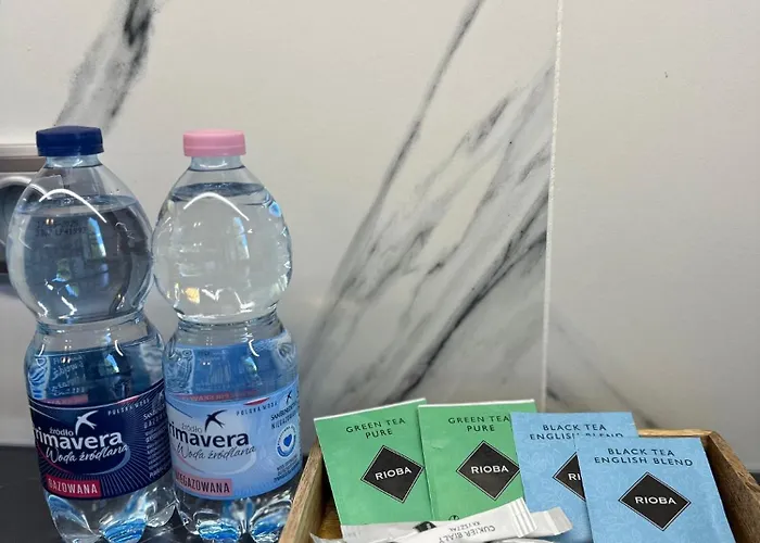 Antracyt Centrum 2-bedroom Апартаменты Ченстохова