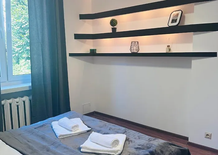 Antracyt Centrum 2-bedroom צ'סטוצ'ובה